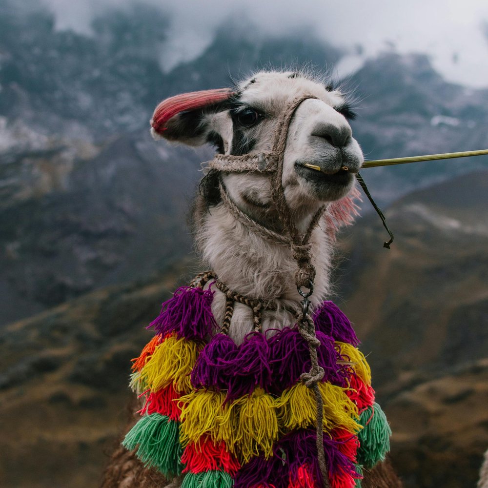 Peru